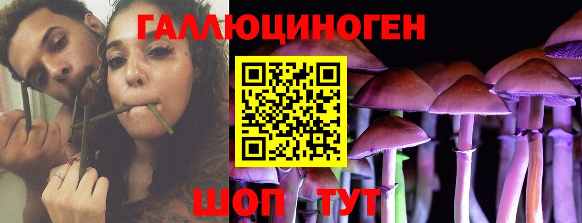 Медногорск  Псилоцибиновые грибы прущие грибы  Вход с VPN 